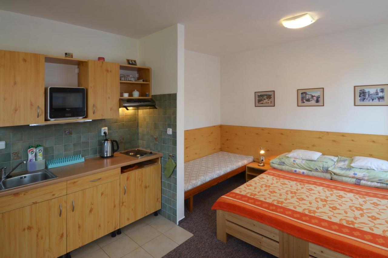 Apartman 300 Janské Lázně Exteriér fotografie