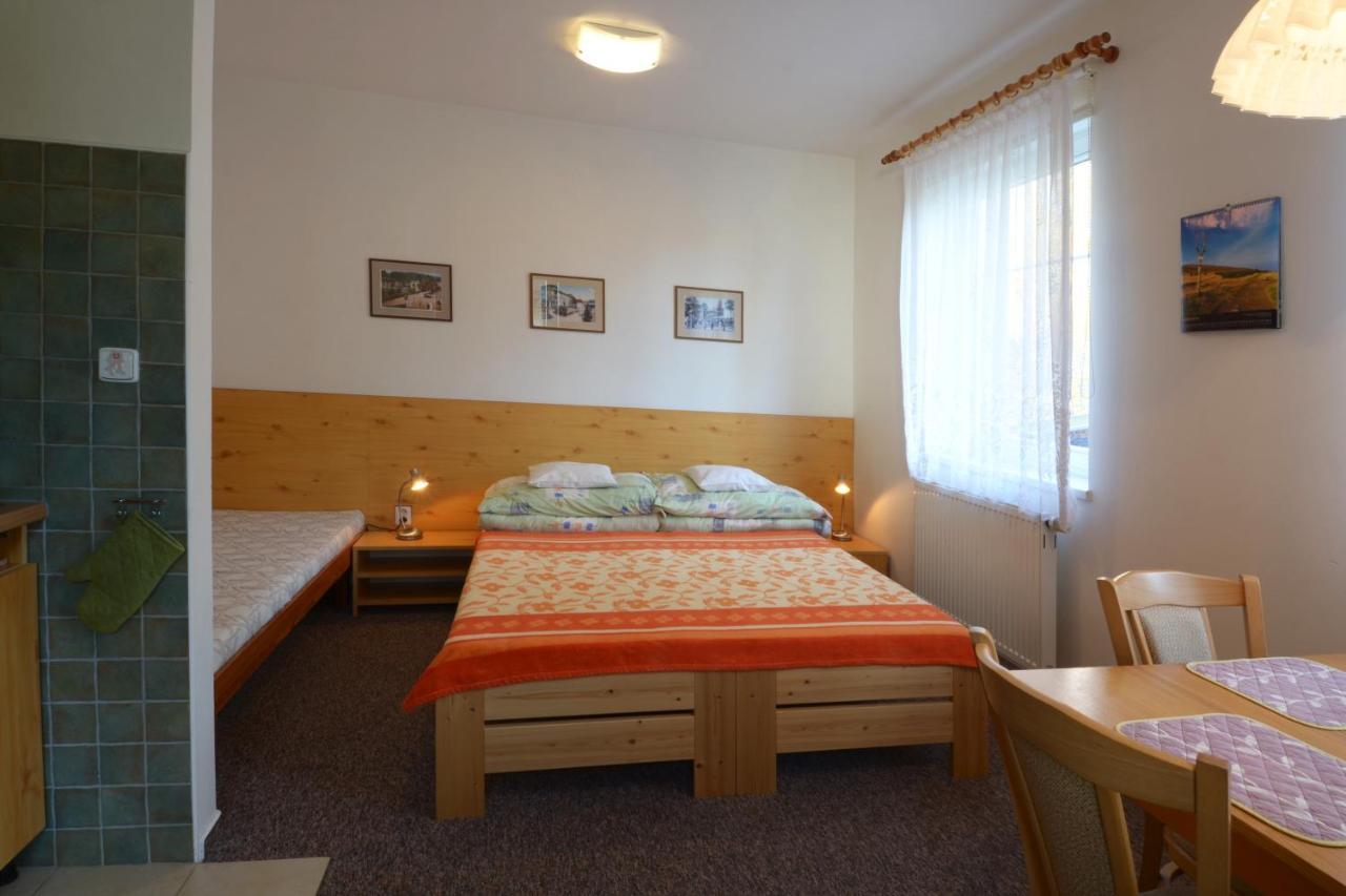 Apartman 300 Janské Lázně Exteriér fotografie